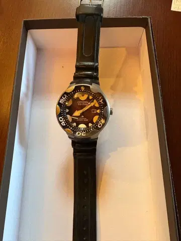 시티즌 PROMASTER 프로마스터 다이버 오르카