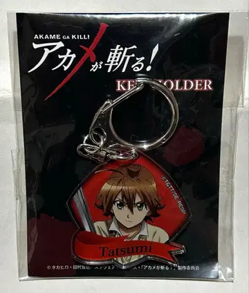 아카메가 벨다 캔뱃지 아크릴 키링 타츠미