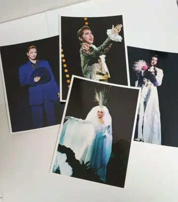 다카라즈카 하루노 스미레 2L 사진 4장