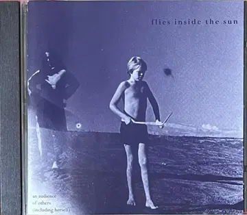 Flies Inside The Sun Kranky New Zealand