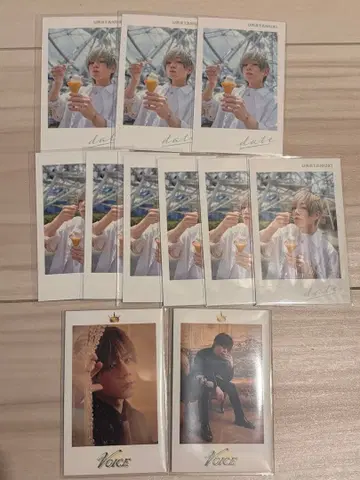 우라시마사카타센 우라타누키 폴라로이드 미니 포토 카드