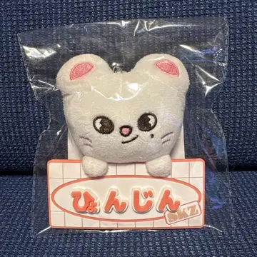 StrayKids 스키즈 네임 백참 지니렛