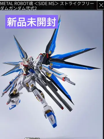 METAL ROBOT혼 스트라이크 프리덤 건담 이식