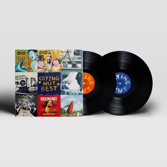 크라잉 넛 - 크라잉넛 25주년 베스트앨범 [180g 2LP]