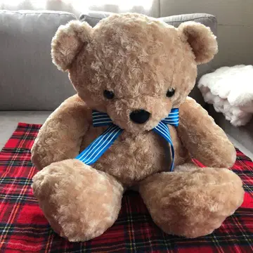 커다란 베이지색 곰 봉제 인형