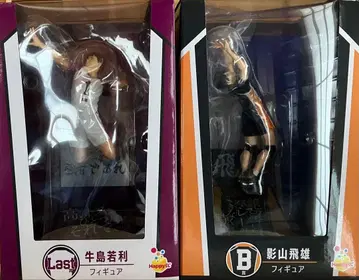 Happy 복권 하이큐 Last상 우시지마 와카토시 B상 카게야마 토비오