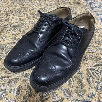 REGAL x GEOX 윙팁 메달리온 블랙 27cm