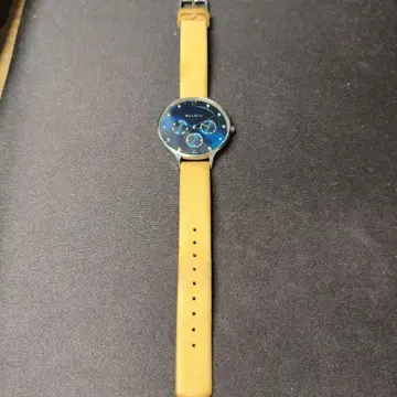 SKAGEN 손목시계 SKW2310 파랑