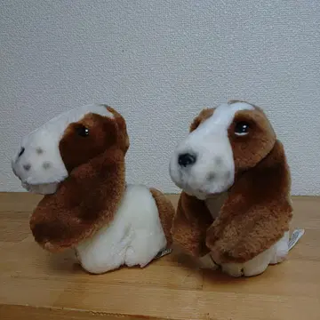 허시파피 봉제 인형 세트