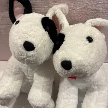 불테리어 봉제 인형 50cm