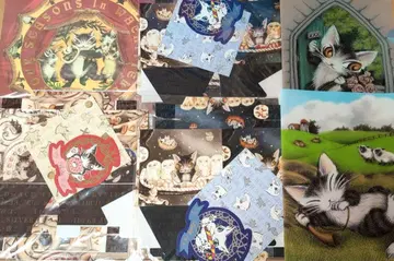 와치필드 고양이 다얀 기프트 박스 달력 클리어 파일 6개