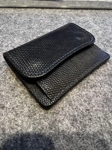 와일드 스완스 텅 리자드 네이비