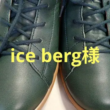 iceberg 님