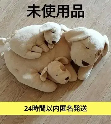 미사용품 오늘의 강아지 인형