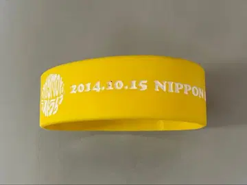 andymori 무도관 라스트 라이브 러버 밴드