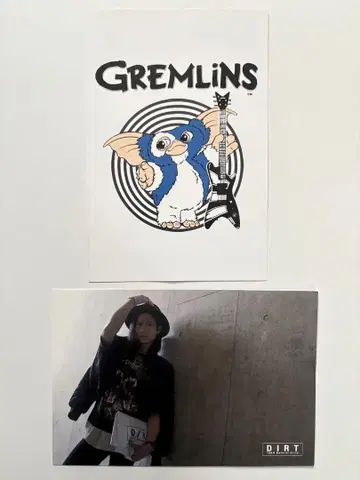 DIR EN GREY 토시야 DIRT 100% 엽서 2장