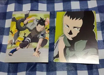 나라 시카마루 나루토 엽서 2장 세트