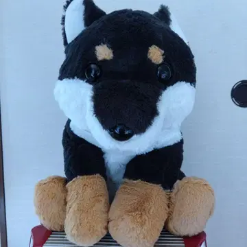 기간 한정 세일 시바견 빅 봉제 인형
