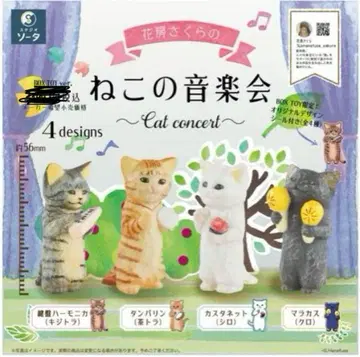 꽃 피는 사쿠라 고양이 음악회 특전 포함 한정판