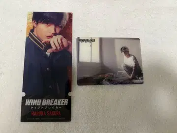 영화 [ WIND BREAKER ] 미즈카미 코시 사쿠라 하루카