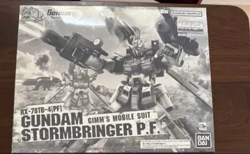 [ 미개봉 ] MG 건담 스톰브링거 P.F.