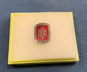 후쿠오카 여자 학원 학교 휘장 핀 배지