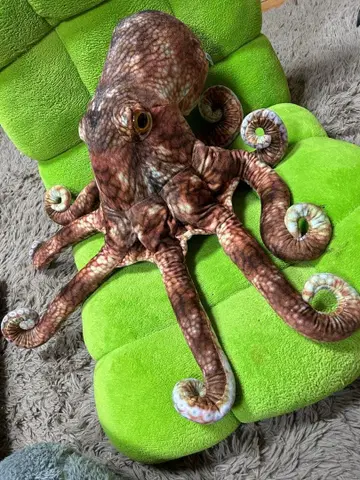 리얼 프린트 대형 문어 봉제 인형 인테리어 해양 생물 입상