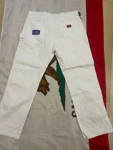 Sherwin Williams x Dickies 페인터 팬츠