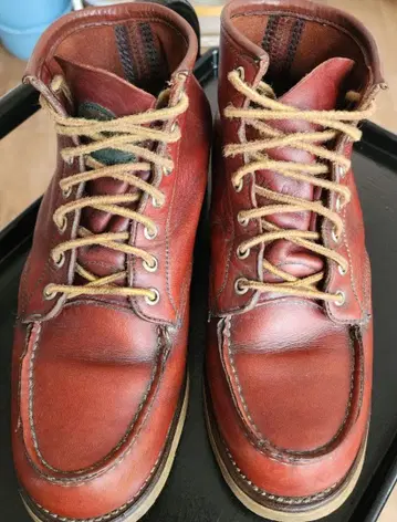 Red Wing 아이리쉬 세터 반원 개 택 사이즈 25.5 US 7.5