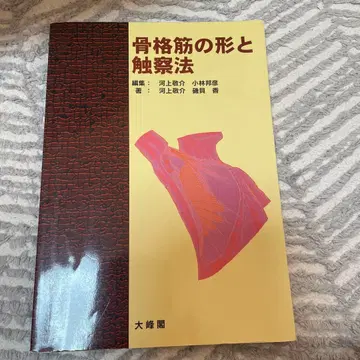 골격근의 형태와 촉진법