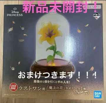 새상품 디즈니 프린세스 마법의 꽃 라이트 LAST ONE상