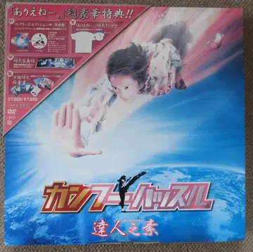 주성치 쿵푸 허슬 달인 지소 초회 생산 한정판