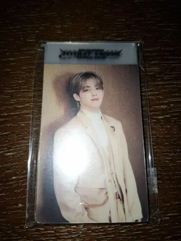 SEVENTEEN 라이히아 클리어 북마크(미개봉)