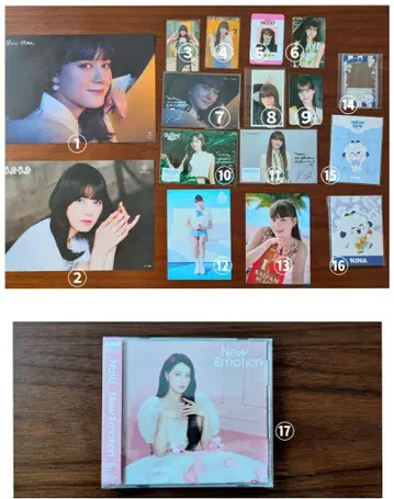 NiziU 니나 키나 굿즈 총 17점