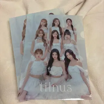 틸나스 niziu 클리어 파일 2장 세트