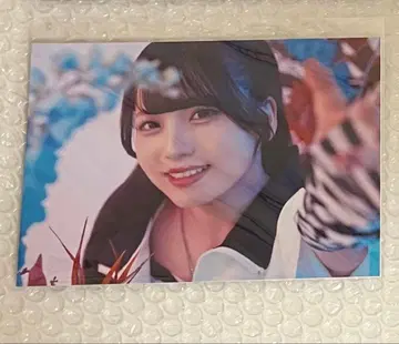 팬텀 시타 x REFLEM 모나