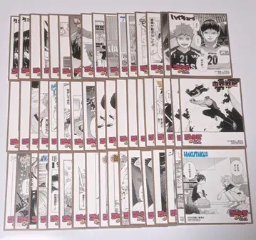 점프 페어 in 애니메이트 51장