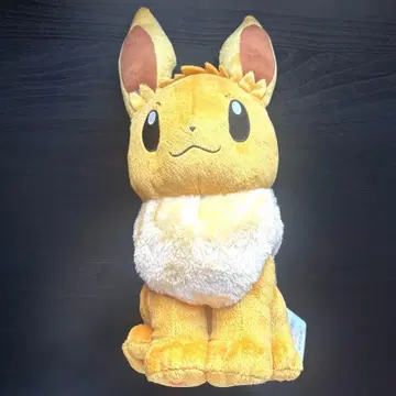 포켓몬스터 이브이 M