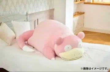 등신대 야돈 봉제 인형 미개봉 새상품 포켓몬 센터 수주 판매