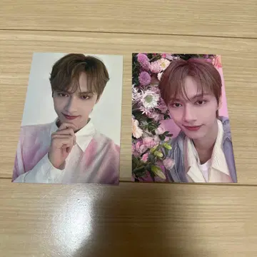 SEVENTEEN ALWAYS YOURS 셀피 포토 준 2장