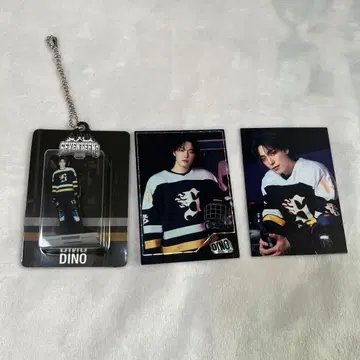 SEVENTEEN HOME 디노