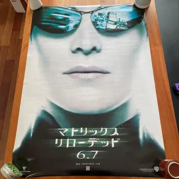 레어 매트릭스 리로디드 포스터 트리니티 캐리 앤 모스