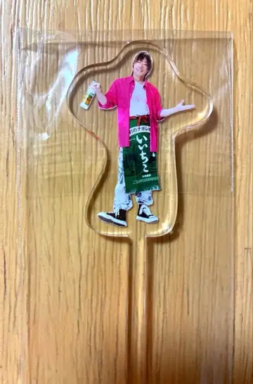 타니야마 키쇼 이이치코 한정판 아크릴 마들러 KPF2025