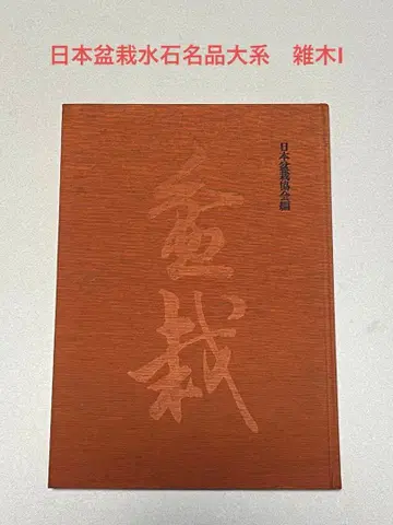 도서 분재 잡목