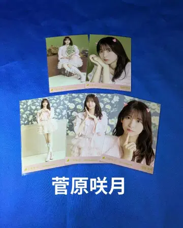 노기자카46 스가와라 사츠키 할로윈 2025 5종 컴프