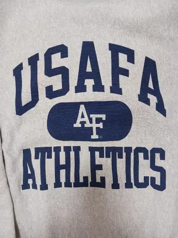 챔피온 Champion 파랑 택 리버스 위브 컨디션 최상 usafa