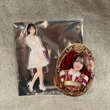 AKB48 하시모토 에리코 아크릴 스탠드 스티커