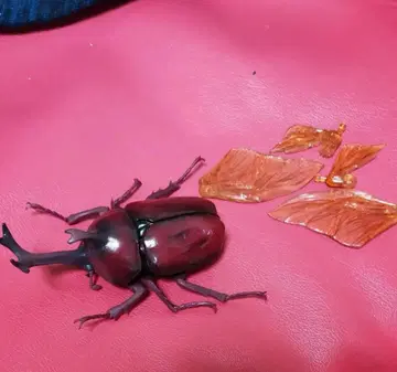 트레이딩 피규어 야마토 장수풍뎅이 (레드 컬러 생물대도감