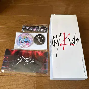 Stray Kids 공식 굿즈 세트