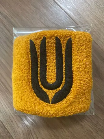 유니슨 스퀘어 가든 리스트 밴드